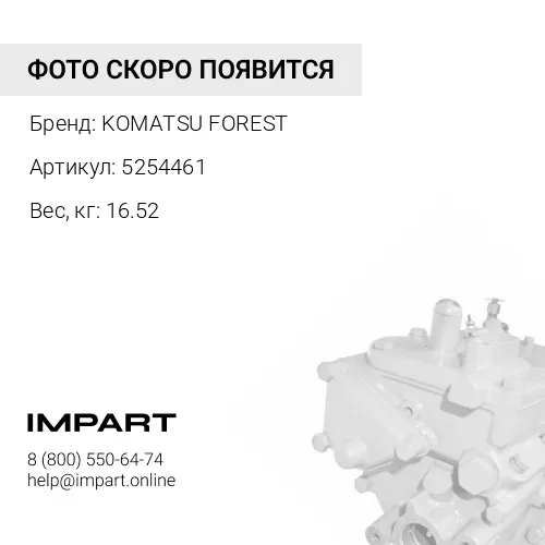 5254461 ЗАЩИТА