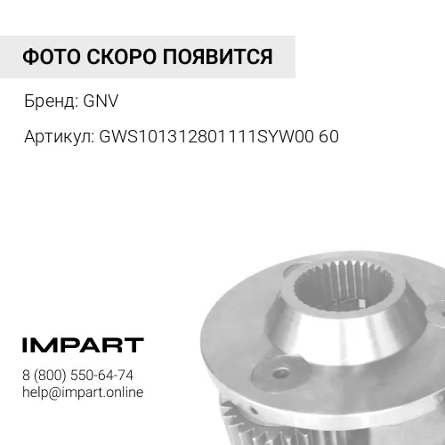GWS101312801111SYW0060 Трансмиссионное масло GNV