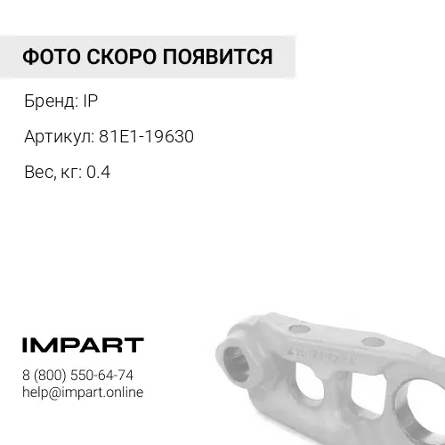 81E1-19630 БОЛТ 81E1-19630 IP