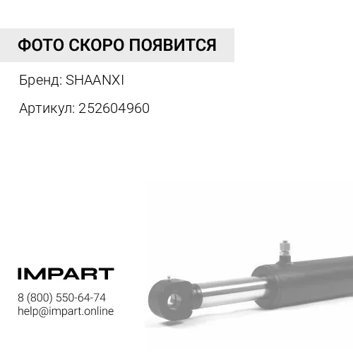 252604960 Мотор отопителя X3000 SHAANXI
