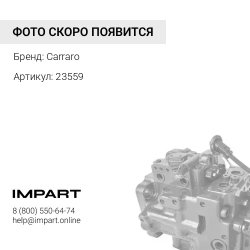 23559 Поршень в сборе Carraro