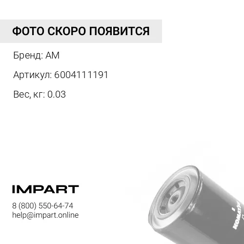 6004111191 Фильтр AM