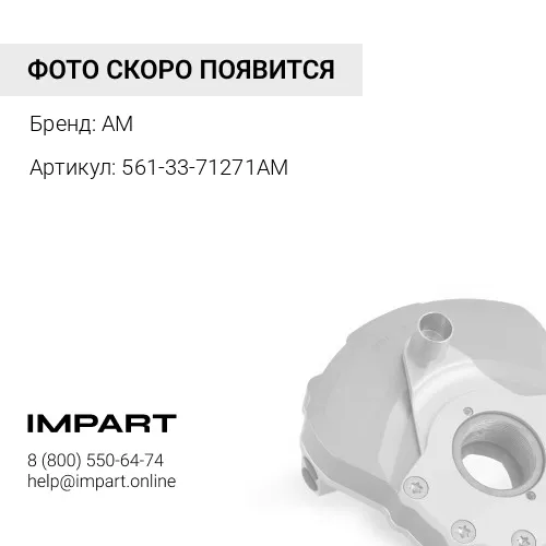 561-33-71271AM ДЕМПФЕР AM