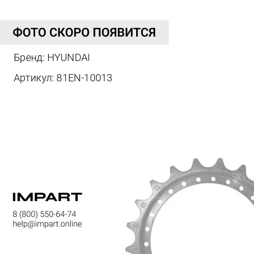 81EN-10013 Звездочка