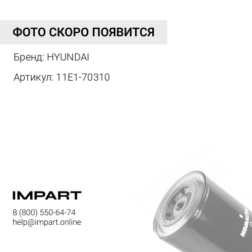 Фильтр 11E1-70310 антикоррозионный