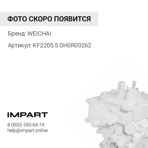 KF2205.5 DH0R00262 Топливный насос (ТННД) WD615.50 WEICHAI