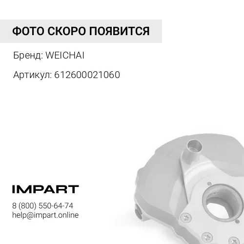 612600021060 Демпфер крутильных колебаний 612600021060 WEICHAI
