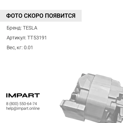 TT53191 Щетки TESLA 