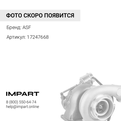 17247668 Патрубок 17247668 ASF