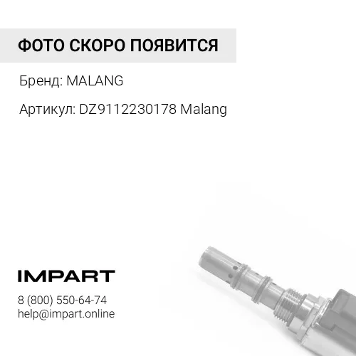 DZ9112230178 Malang ПГУ D=102 SHAANXI корзина 430 (С КЛАПАНОМ) ВЫХОД НАЗАД (DZ9112230178) Malang MALANG