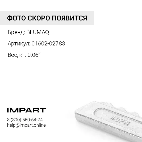 01602-02783 Шайба BLUMAQ