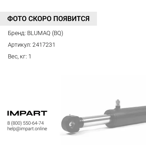 2417231 BQ ВТУЛКА