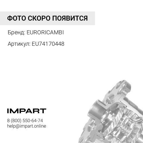 EU74170448 Гайка дифференциала Scania EURORICAMBI