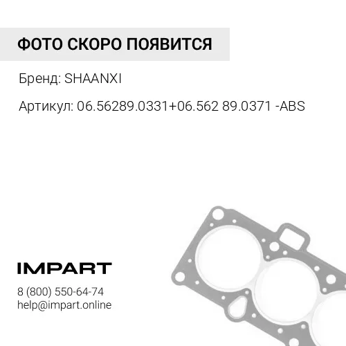 06.56289.0331+06.56289.0371 -ABS Сальник ступицы заднего моста c ABS (к-т 2 шт) F3000 145x175x14 SHAANXI