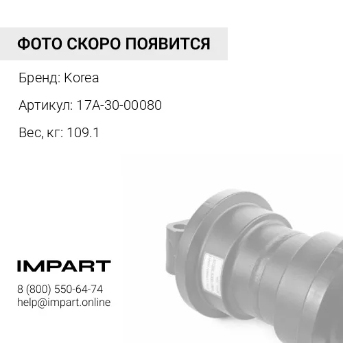 17A-30-00080 Каток опорный двубортный КОРЕЯ Korea