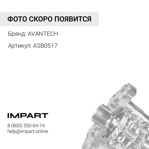 ASB0517 Сайлентблок подушки дифференциала Avantech(Кратность 1 шт) AVANTECH