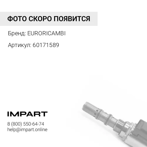 60171589 Клапан включающий EURORICAMBI