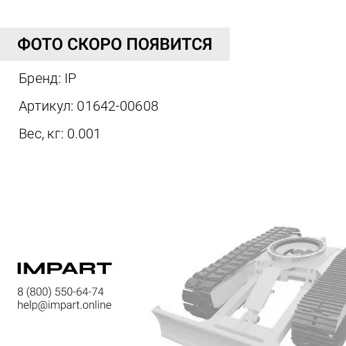 01642-00608 ШАЙБА IP