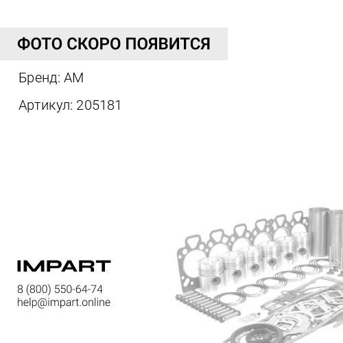 205181 Кольцо уплотнительное