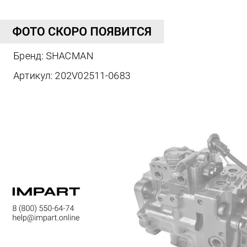 202V02511-0683 Поршень МС13 SHACMAN