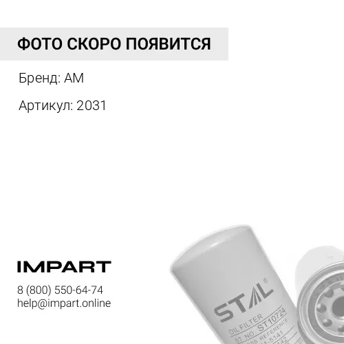 2031 Фильтр масляный C1003 2031 AM
