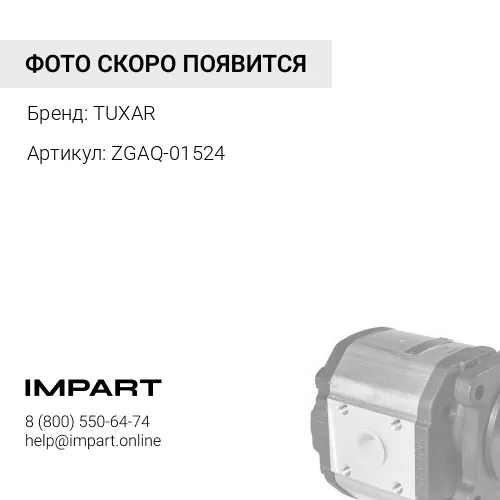 ZGAQ-01524 ZGAQ-01524 Насос шестеренчатый HYUNDAI TUXAR