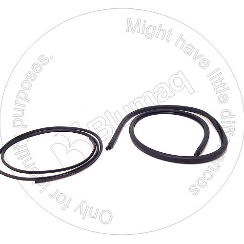 20Y5438133 OR WEATHER STRIP