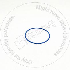 1757900 ST О-кольцо BLUMAQ
