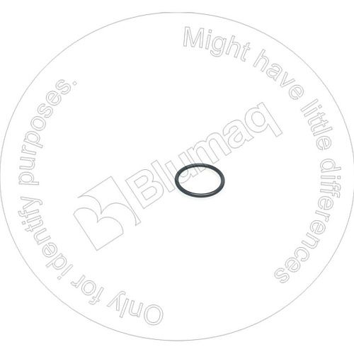 0996165 ST Кольцо уплотнительное BLUMAQ