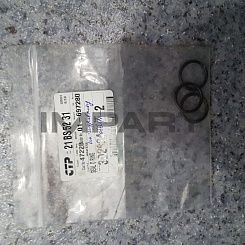 3D2824 Кольцо уплотнительное CAT 3116 CTP